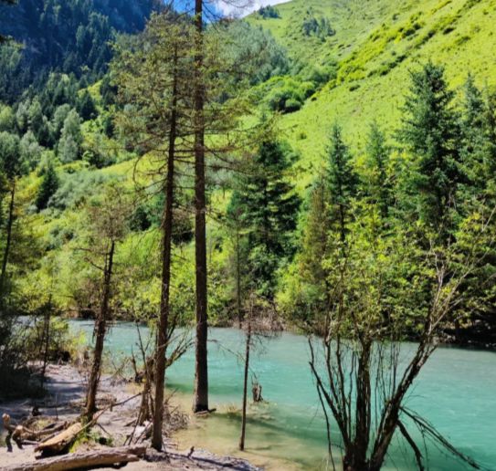 开元棋牌试玩甘南带家人跟团6日游费用多少？甘南跟团游带家人六